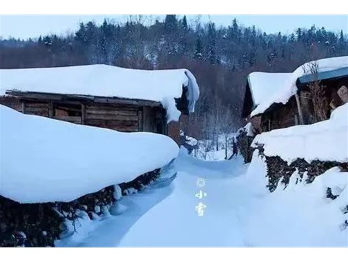 小雪到 冬始俏——商丘市智谷幼儿园邀您一起了解二十四节气之小雪